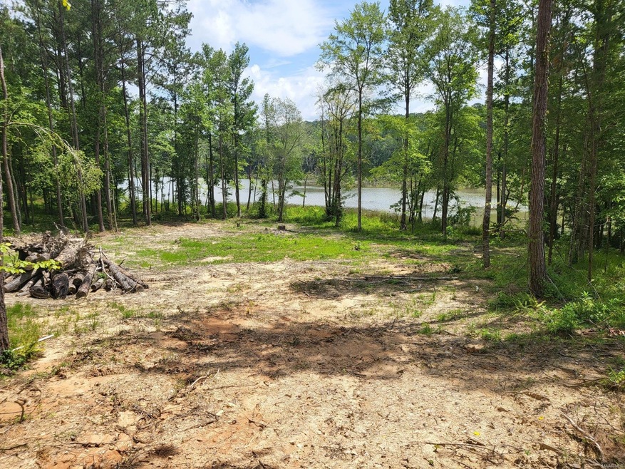 1290 Sturdivant Rd, Jacksons' Gap, AL 36861 - photo 1