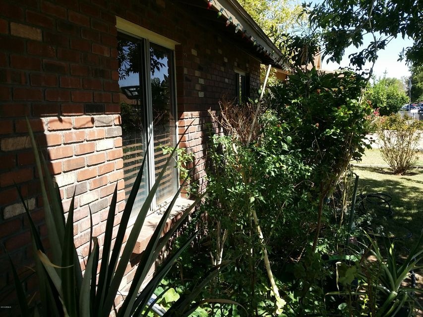 1664 E Hampton Ave unit 2, Mesa, AZ 85204 - photo 1