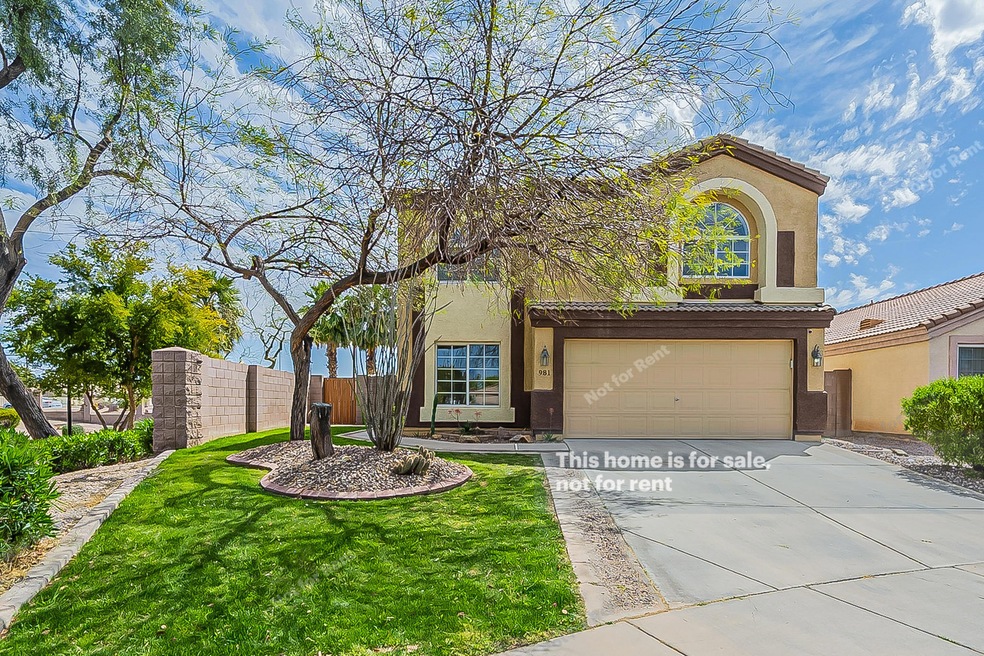 981 E Laredo St, Chandler, AZ 85225 - photo 1