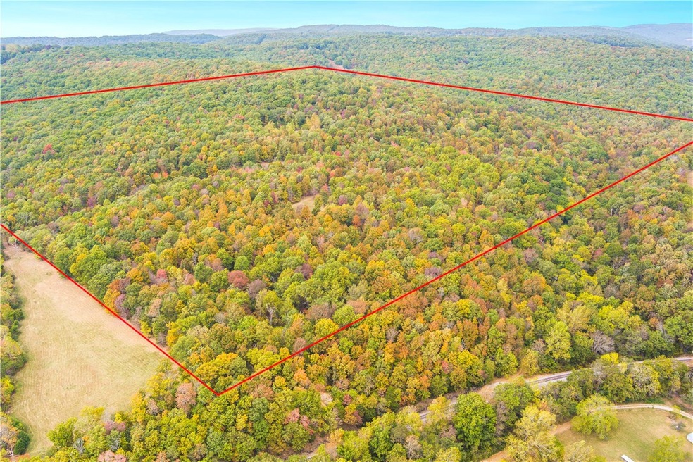 18437 S Highway 71, Winslow, AR 72959 - photo 1