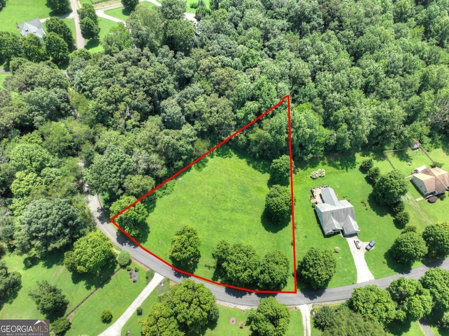 Lot 10 Cartecay River Run, Ellijay, GA 30536 - photo 1