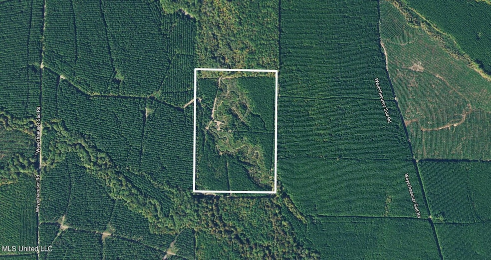 aerial