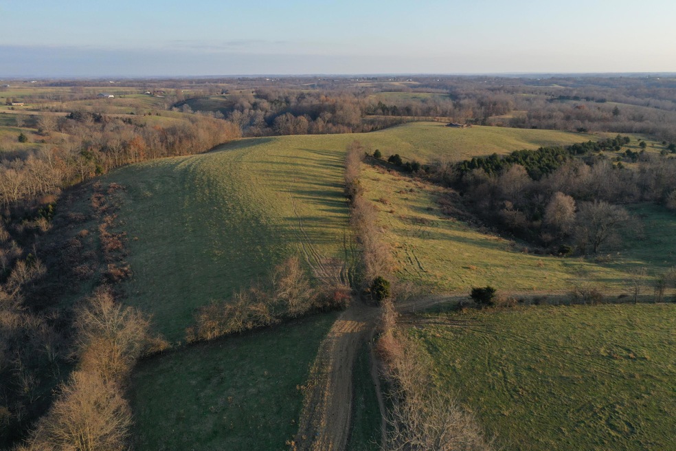 809 Mt Tabor Rd, Ewing, KY 41039 - photo 1