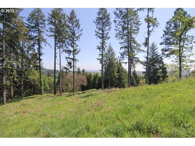 0 NW Nut Tree Ln unit 13570844, McMinnville, OR 97128 - photo 1