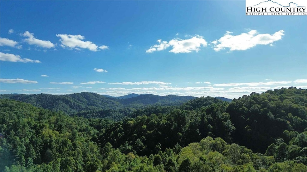 TBD Bryan Davis Rd, Creston, NC 28615 - photo 1