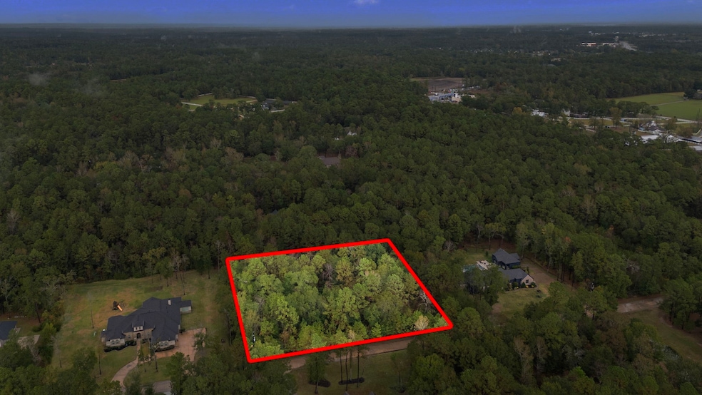 11348 Sunset Ave, Magnolia, TX 77354 - photo 1