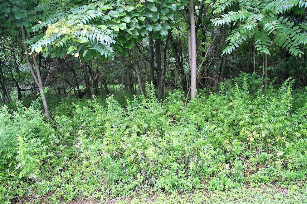 00 County Line Rd, Muncy, PA 17756 - photo 1