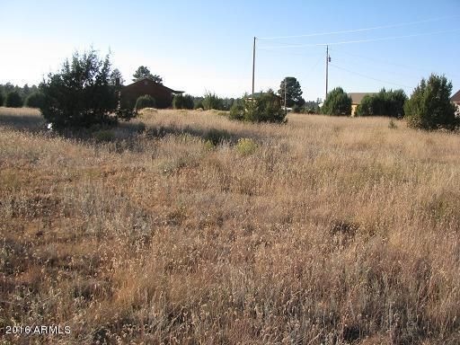 2216 Meadow-1