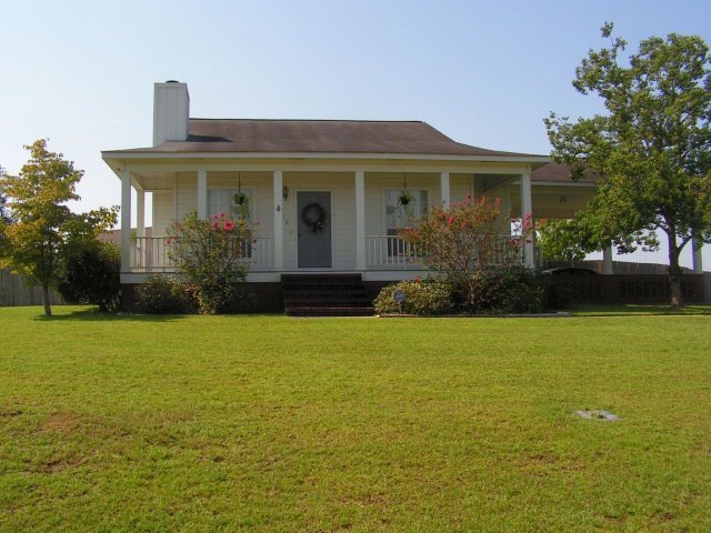 Main View