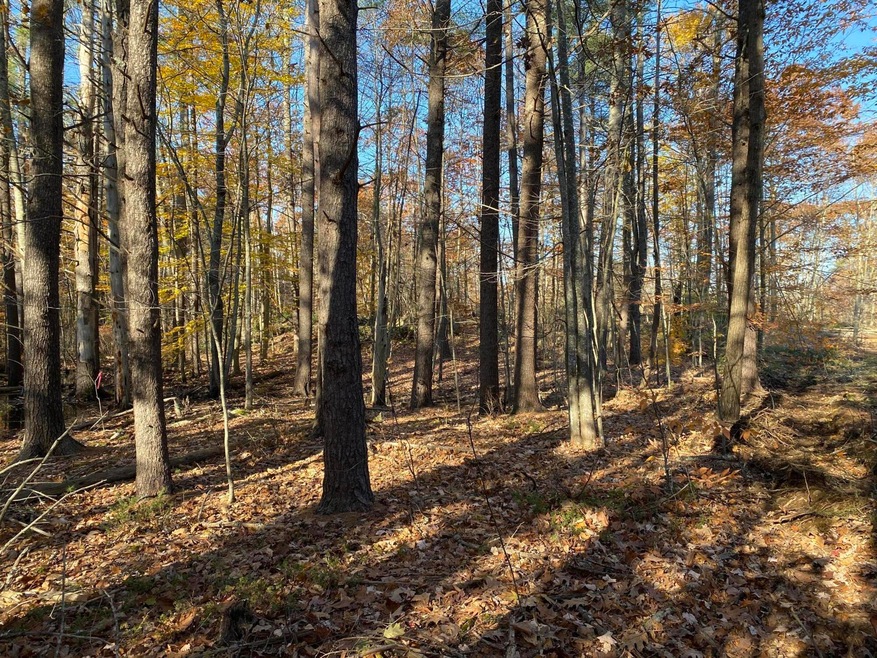 45 Ogunquit Rd unit B, Ogunquit, ME 03907 - photo 1