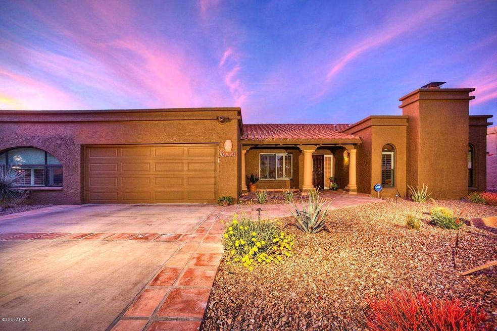 CUSTOM LIGHTING AND DESERT PLANTS