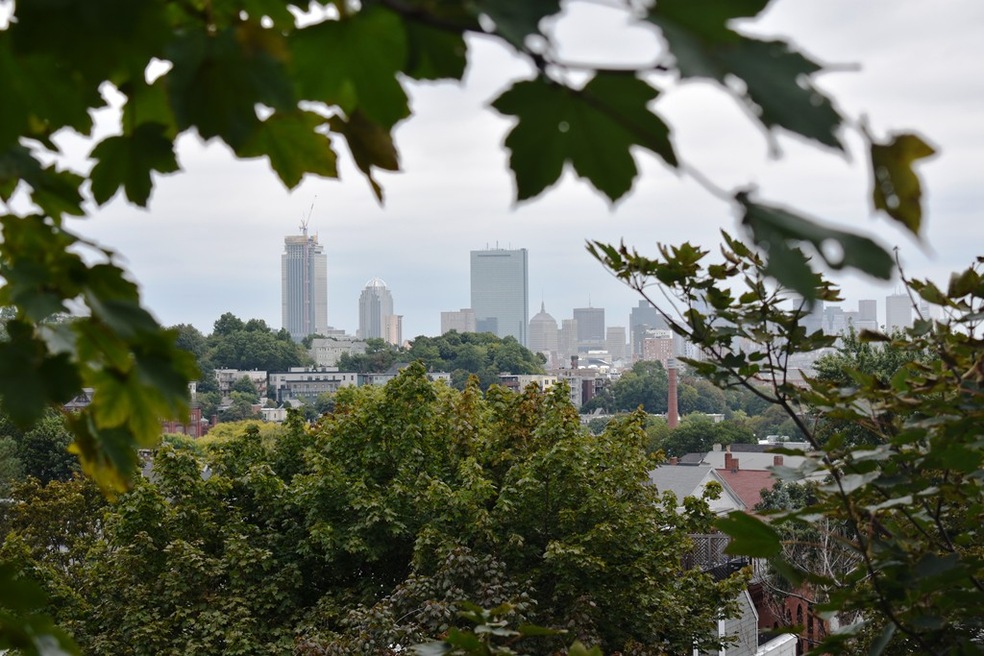 42 Sheridan St unit 3, Jamaica Plain, MA 02130 - photo 1