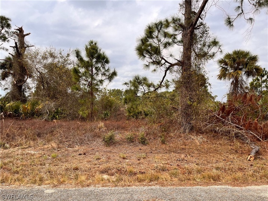 648 Muldoon Ave S, Lehigh Acres, FL 33974 - photo 1