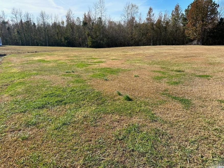 Lot 7 Mack Rd, Conway, SC 29526 - photo 1