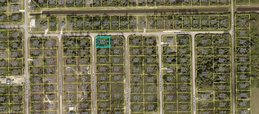 633 Muldoon Ave S, Lehigh Acres, FL 33974 - photo 1