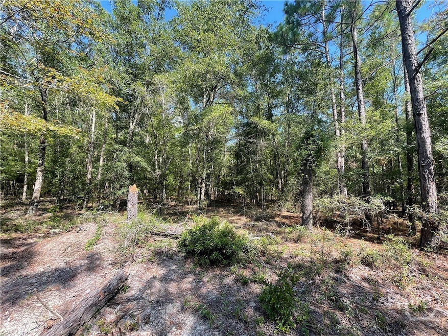 06 Old Augusta Rd, Clyo, GA 31303 - photo 1