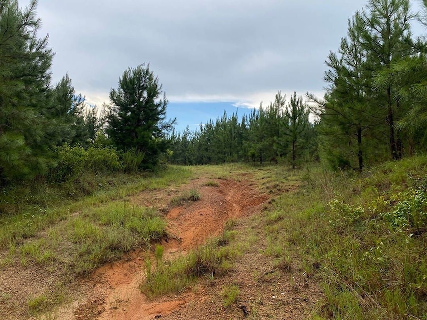 0 Highway 242 unit 24270248, Bartow, GA 30413 - photo 1