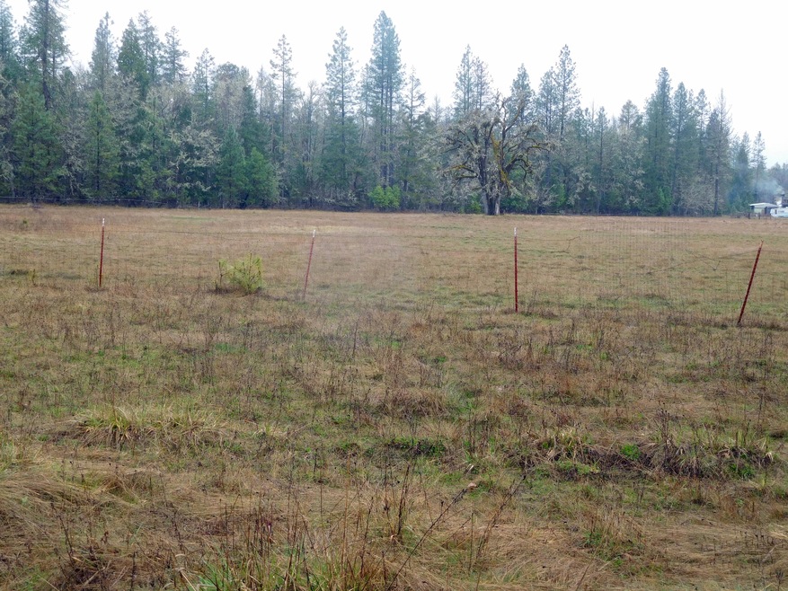 View of pasture area looking N/E