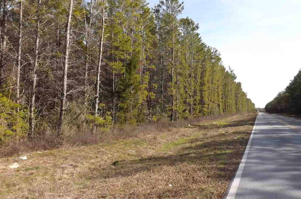 0 Seameadows Dr unit 290583, Perry, FL 32348 - photo 1