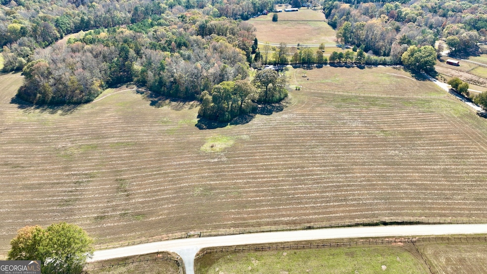 LOT 3 Mask Road - Hanner's Farm S, Brooks, GA 30205 - photo 1