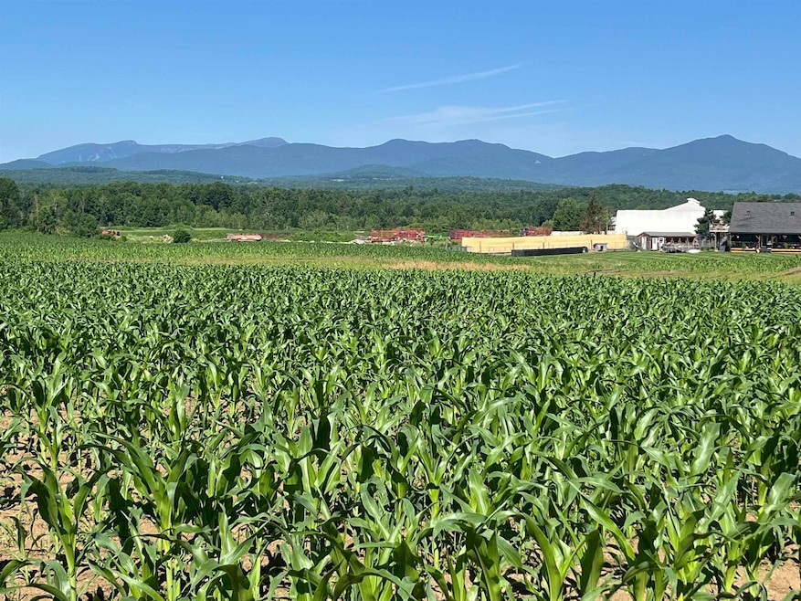Huge Green Mtn views from northern property corner looking west