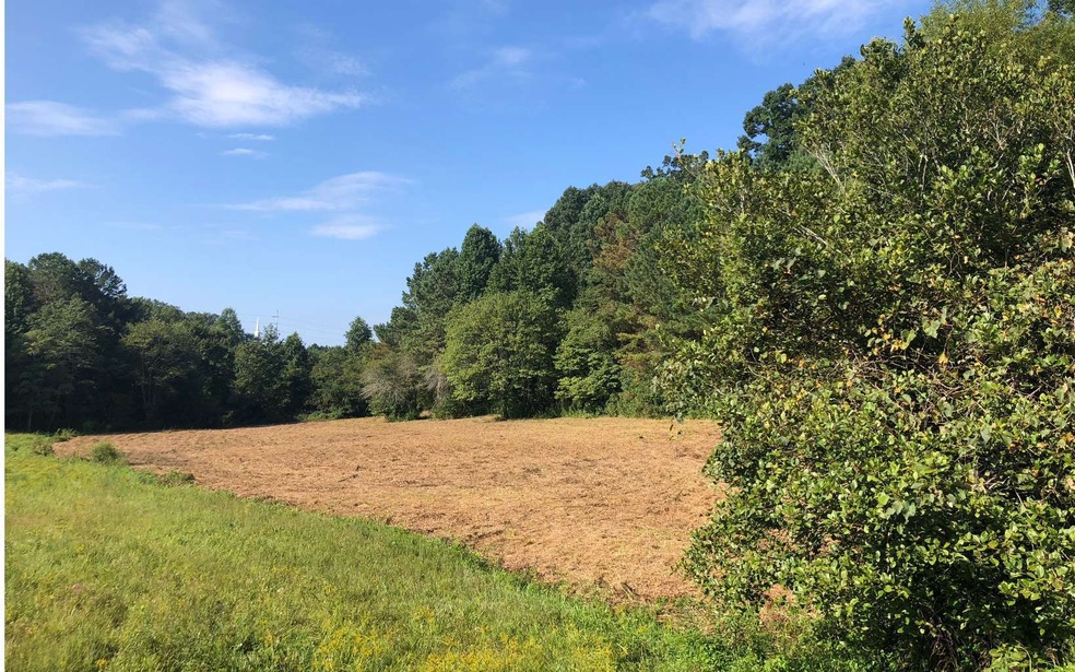 LT 29 Crabapple Ln, Ellijay, GA 30540 - photo 1