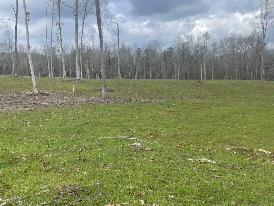 Truman Aldridge Pkwy, West Blocton, AL 35184 - photo 1