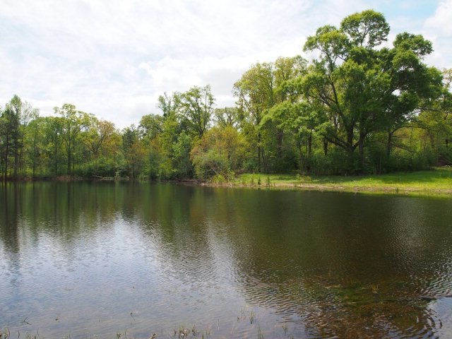Main View