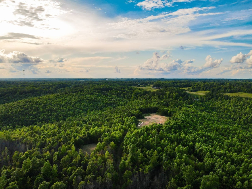 0 Hyde Rd, Phil Campbell, AL 35581 - photo 1