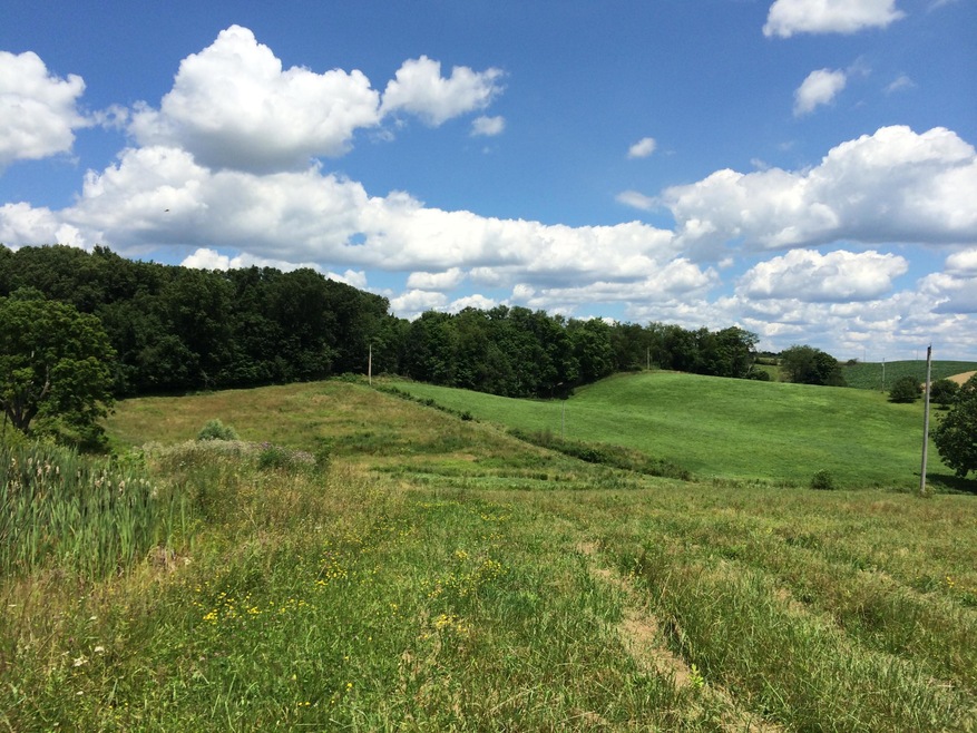 23561 Thompson Rd, Howard, OH 43028 - photo 1