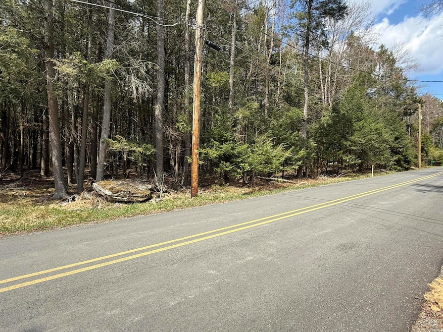 170 / 171 Sir Gawain Ct, Pocono Lake, PA 18347 - photo 1