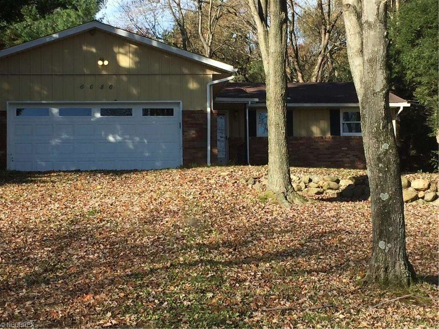 Front view