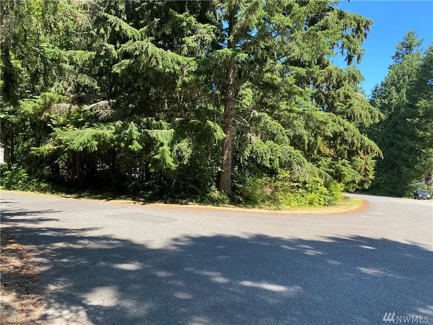 18528 Surcingle Ct SE, Yelm, WA 98597 - photo 1