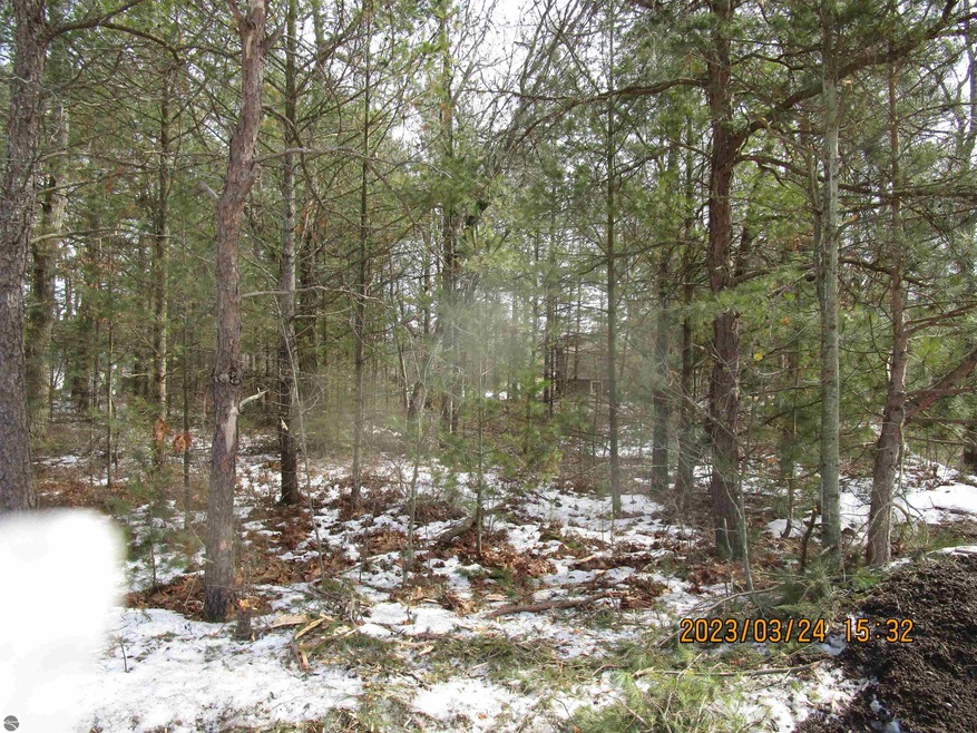 2270 Dobler Rd, Sterling, MI 48659 - photo 1