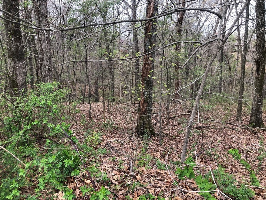 0 Frome Lot 21 Cir unit 1215156, Bella Vista, AR 72715 - photo 1