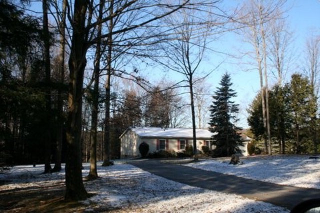 Main View