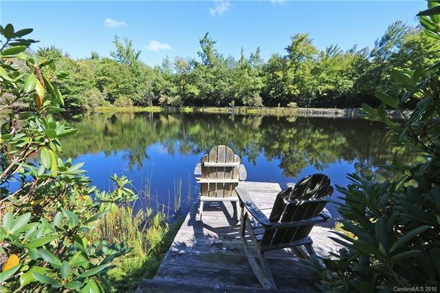 Dock Views of Lake in front of home