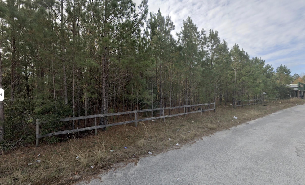 00 Elm St E, Hampton, SC 29924 - photo 1