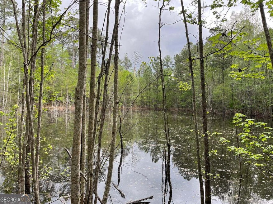 0 Mason Rd, Harlem, GA 30814 - photo 1