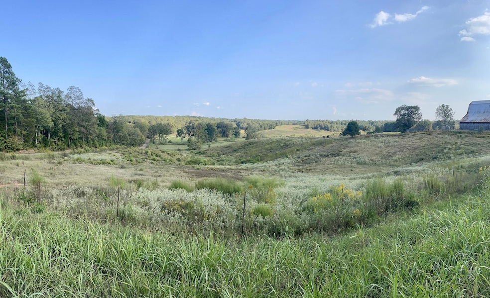 880 Overton Loop Rd, Toone, TN 38381 - photo 1