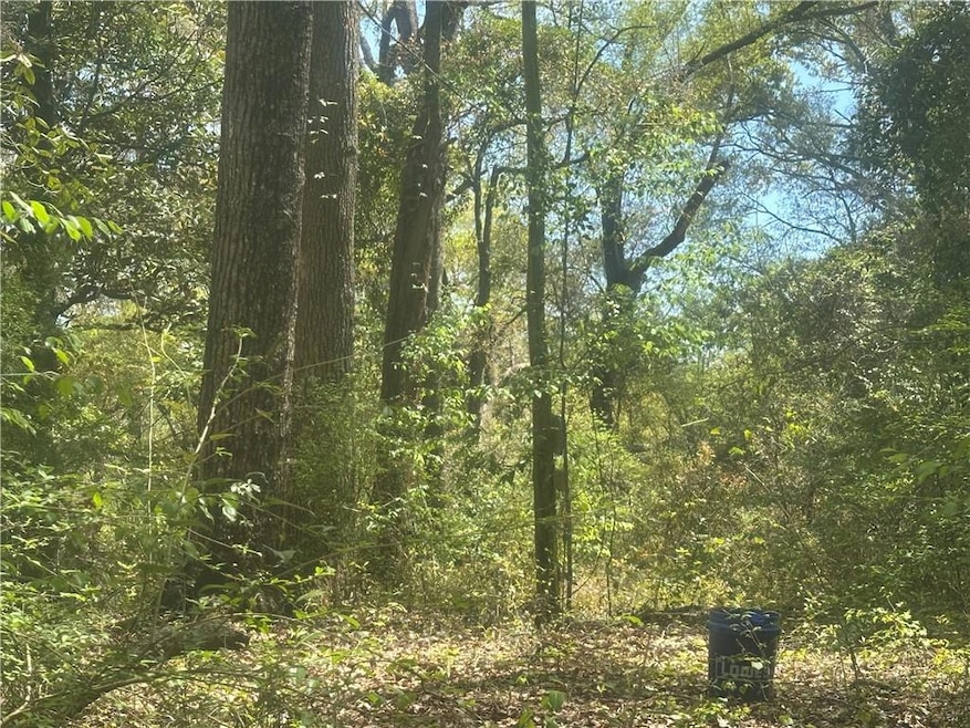 6851 Wilmer Ct, Mobile, AL 36619 - photo 1