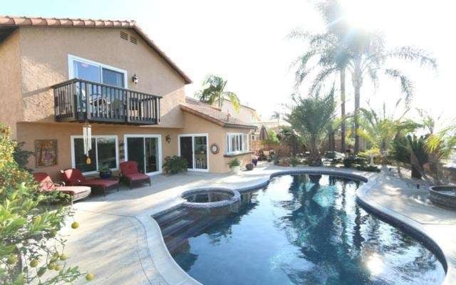 Resort style back yard with 9 towering palm trees,