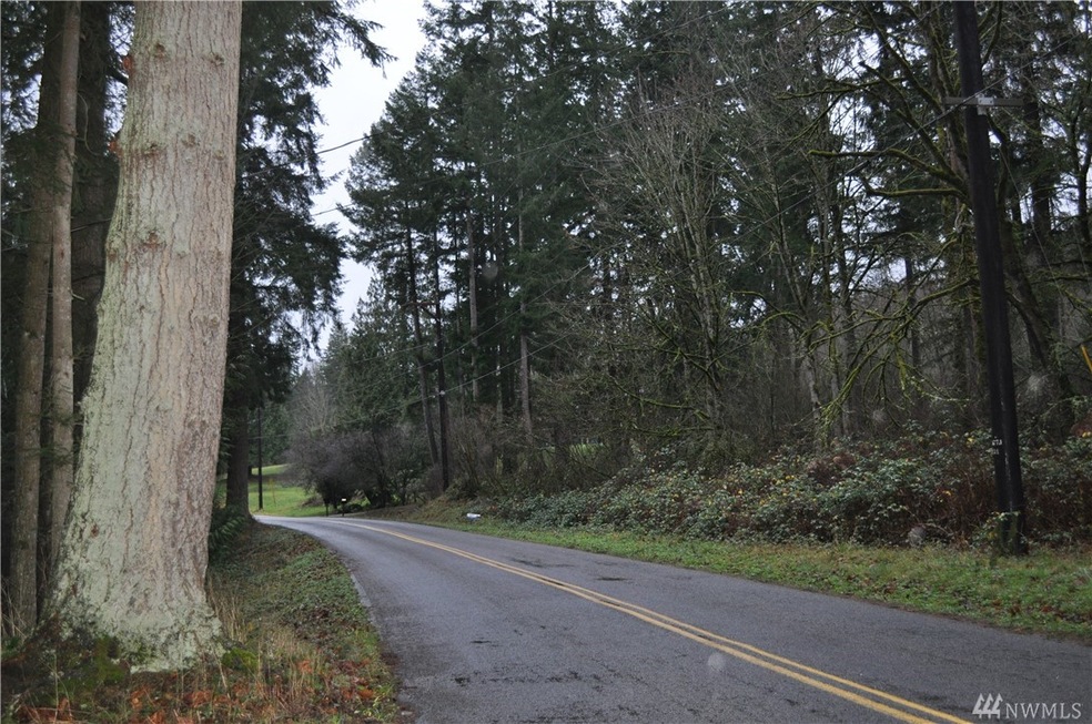 1917 Sunday Lake Rd, Stanwood, WA 98292 - photo 1