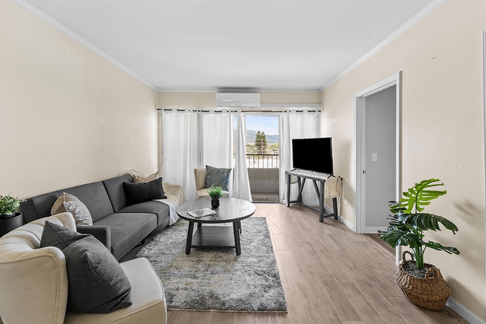 1063 Lower Main St unit 203, Wailuku, HI 96793 - photo 1