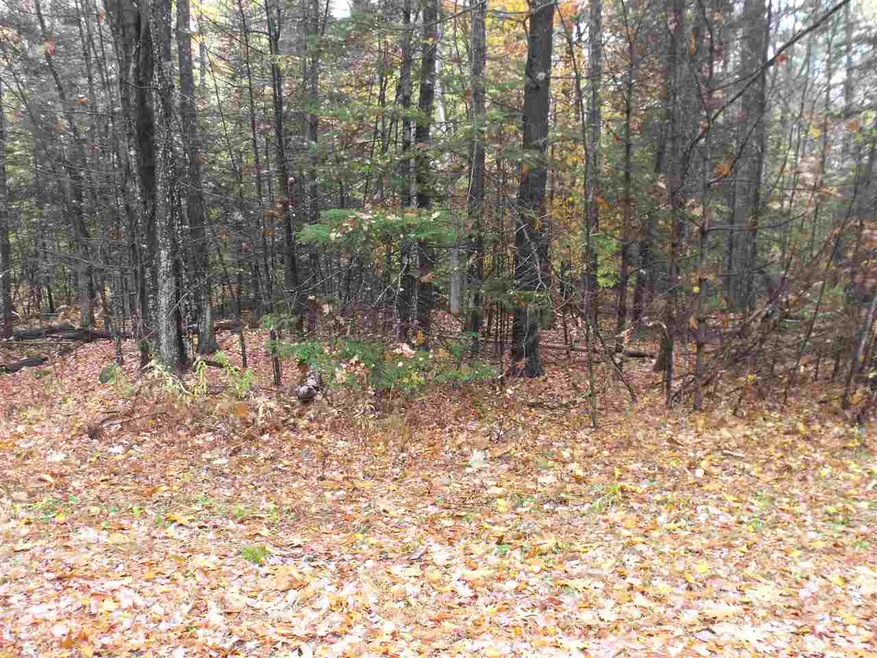 30 Bayview Dr unit 30, Tuftonboro, NH 03816 - photo 1