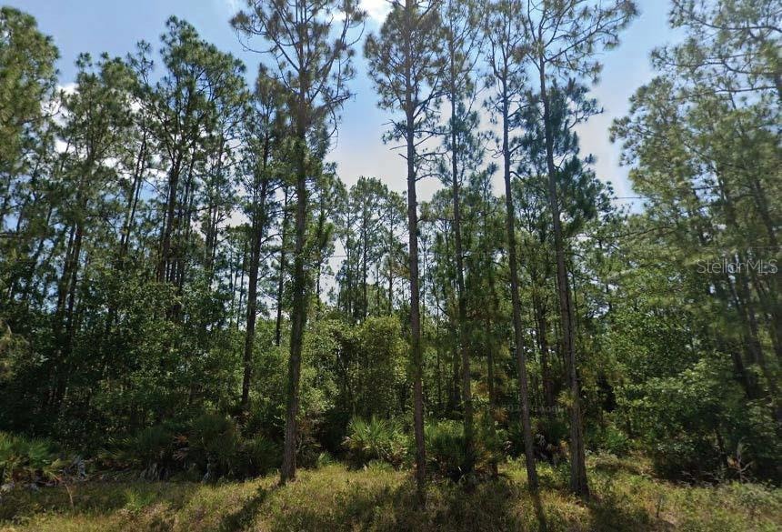 Sold $6,000 • Co-Listing Agent