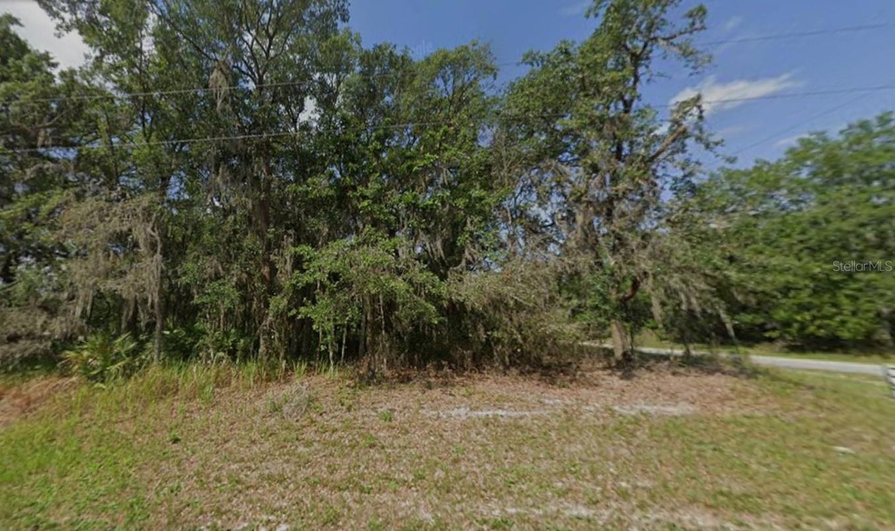 0 SW 146th Ln unit MFRS5138320, Ocala, FL 34473 - photo 1