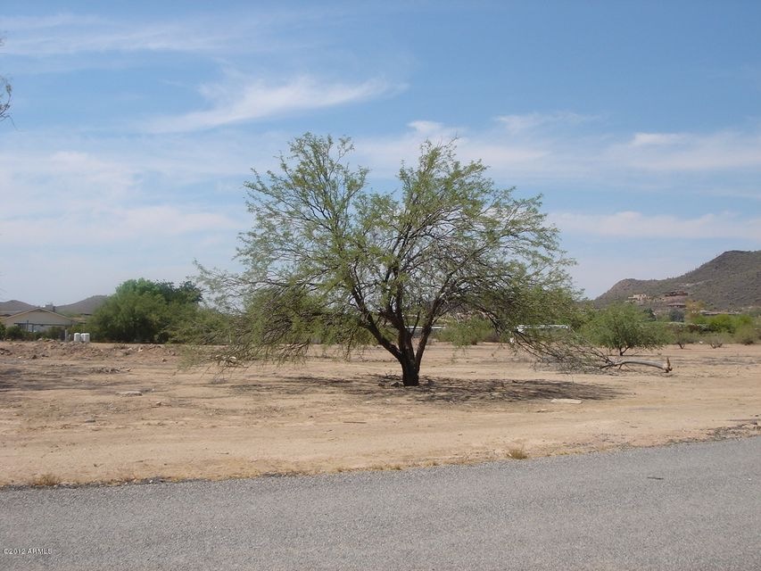 Natural Vegetation