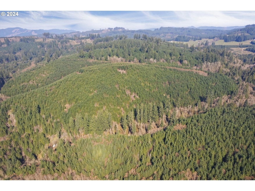 0 NE Cedar Mist Rd, Amboy, WA 98674 - photo 1