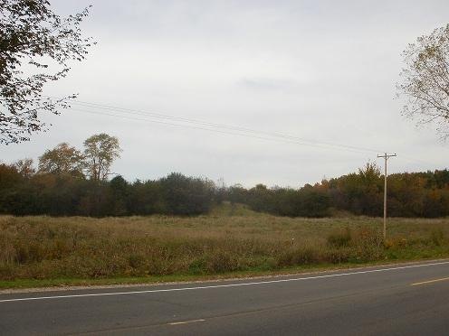 Primary Photo